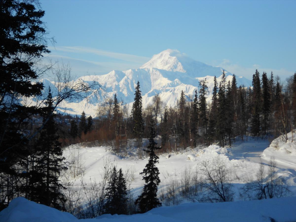 Denali Primrose Bed & Breakfast Healy Exterior photo