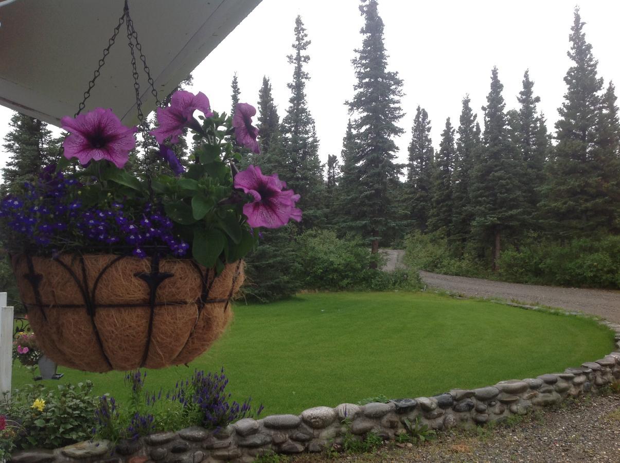Denali Primrose Bed & Breakfast Healy Exterior photo